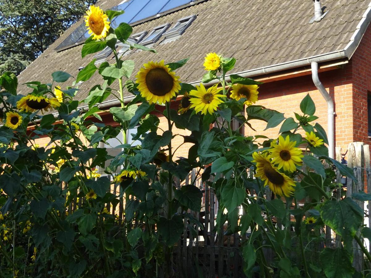 Peanuts Hostel & Meer Surendorf エクステリア 写真